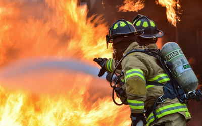 image for Pet Fire Safety Day is July 15th